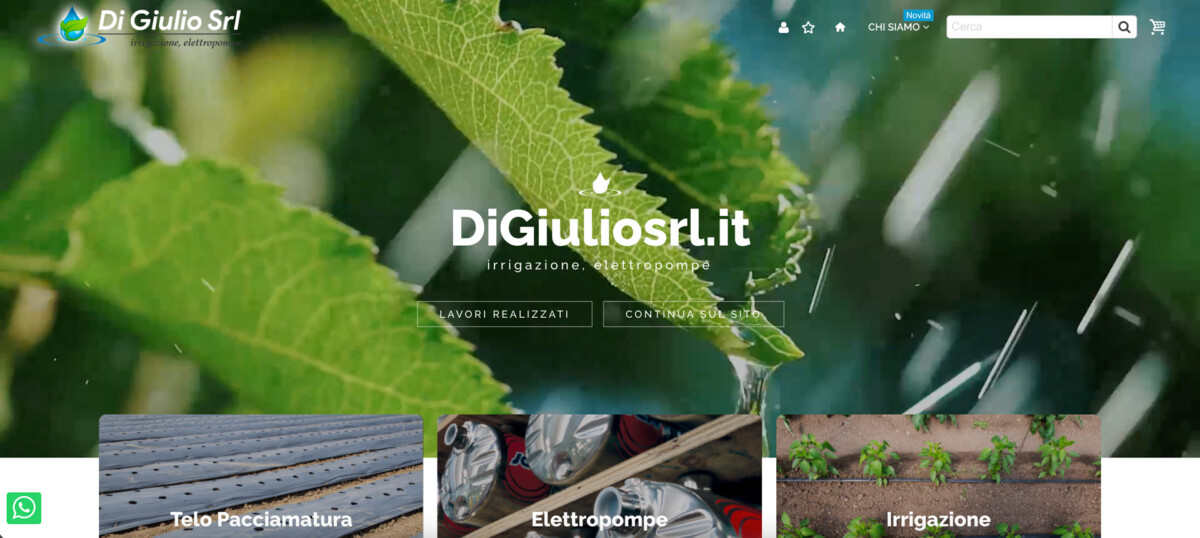 Progetto Di Giulio realizzato da Biagio Roggia