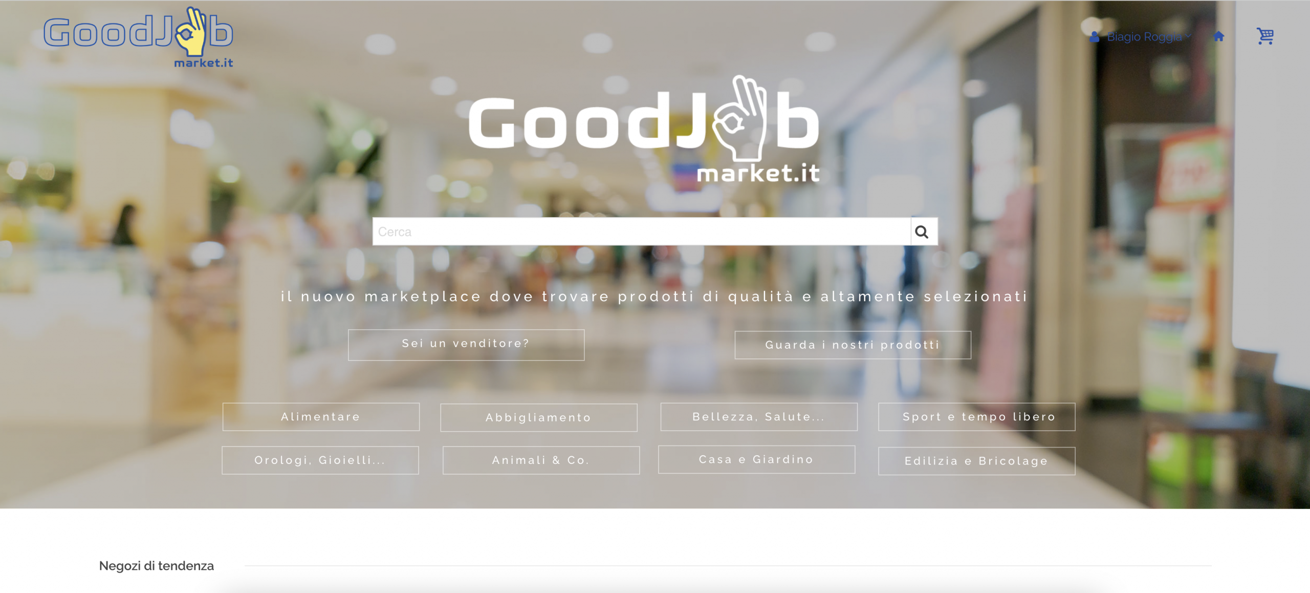 Progetto Goodjobmarket.it realizzato da Biagio Roggia