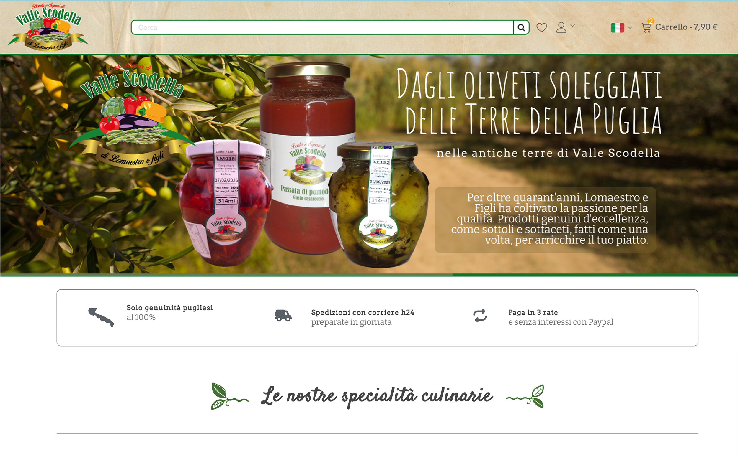 Progetto lomaestroefigli.it realizzato da Biagio Roggia